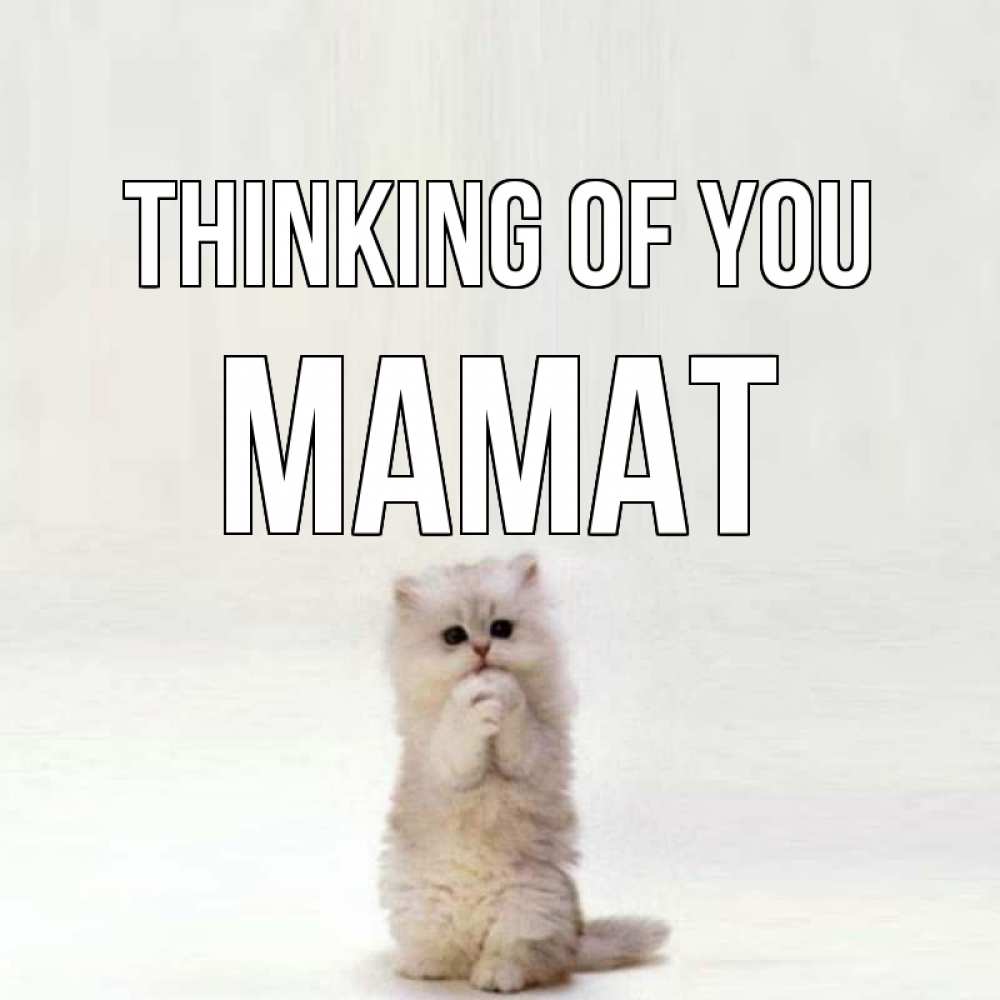 Greetings card с именем, МАМАТ Thinking of you кот стоит на задних лапах Greetings with text for free download 