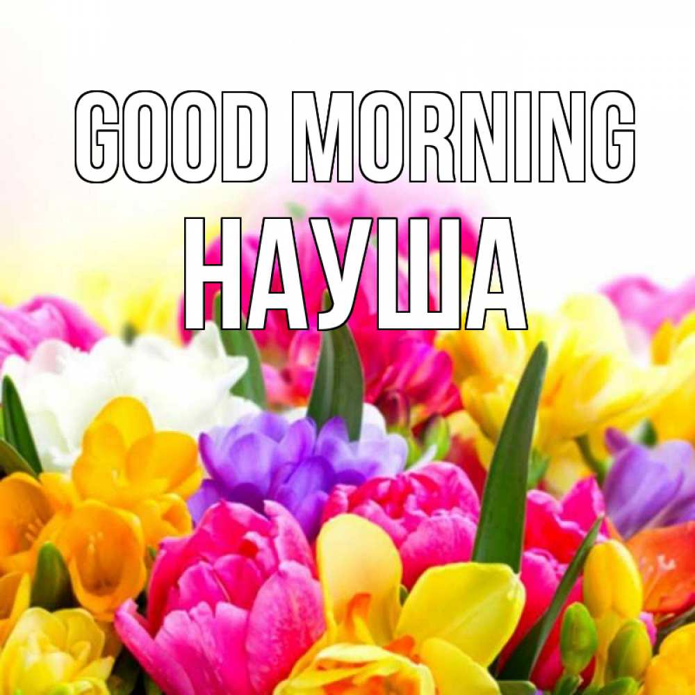 Greetings card с именем, НАУША Good morning создать открытку со свое подписью Greetings with text for free download 