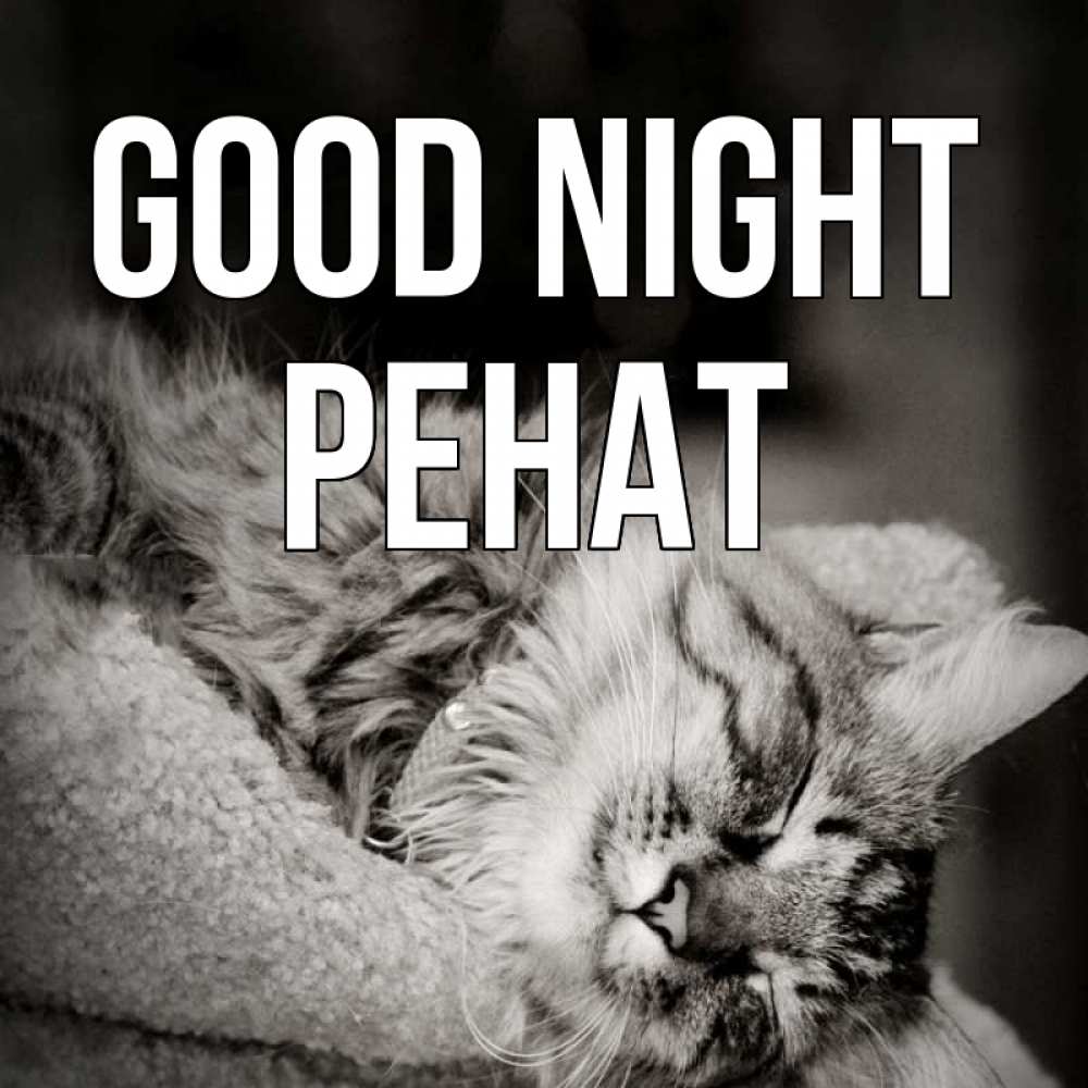 Greetings card с именем, РЕНАТ Good night котярик пушистый Greetings with text for free download 