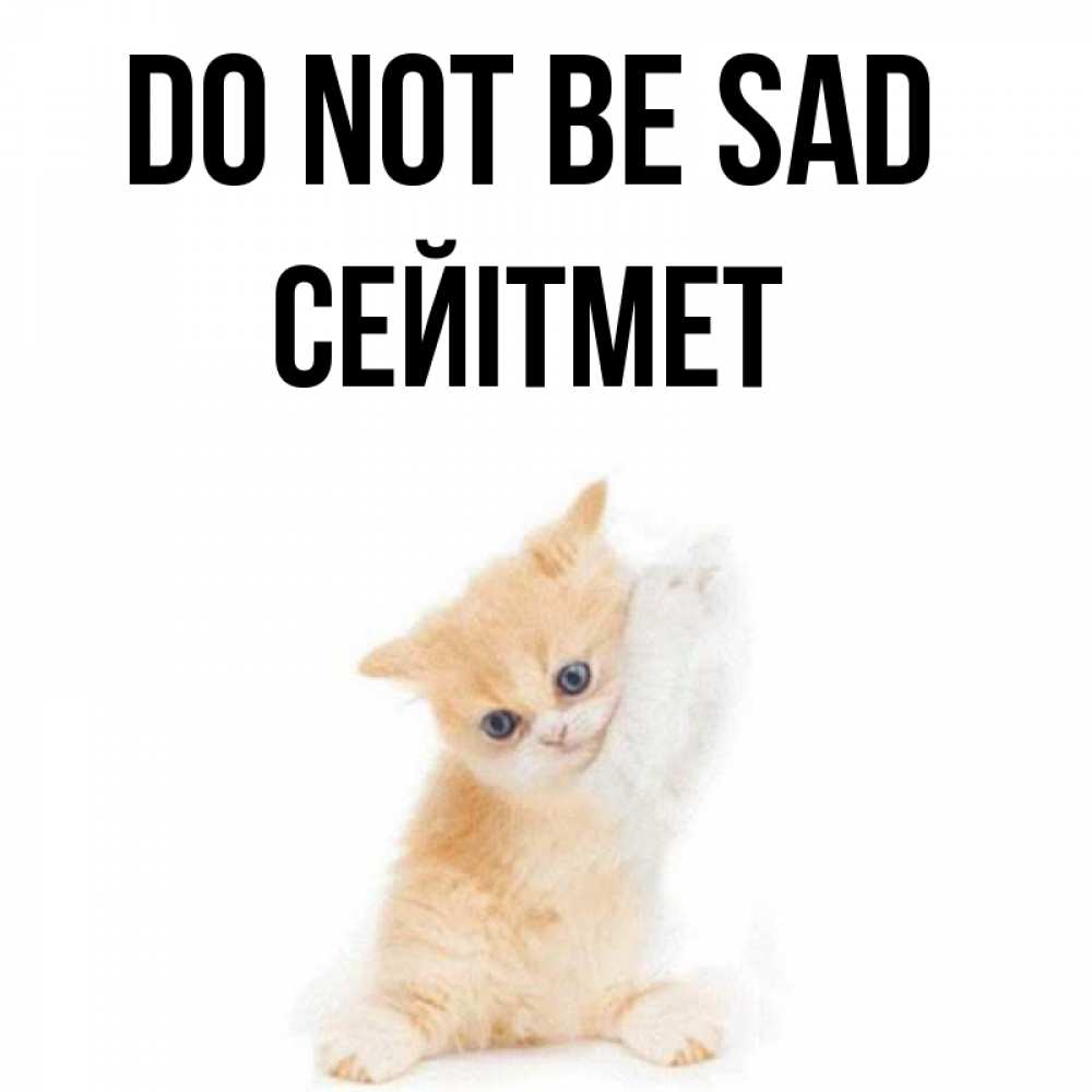Greetings card с именем, СЕЙІТМЕТ Do not be sad просящий кот Greetings with text for free download 