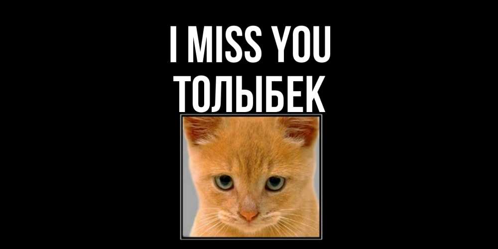 Greetings card с именем, ТОЛЫБЕК I miss you открытки рыжий котенок скучает по тебе Greetings with text for free download 