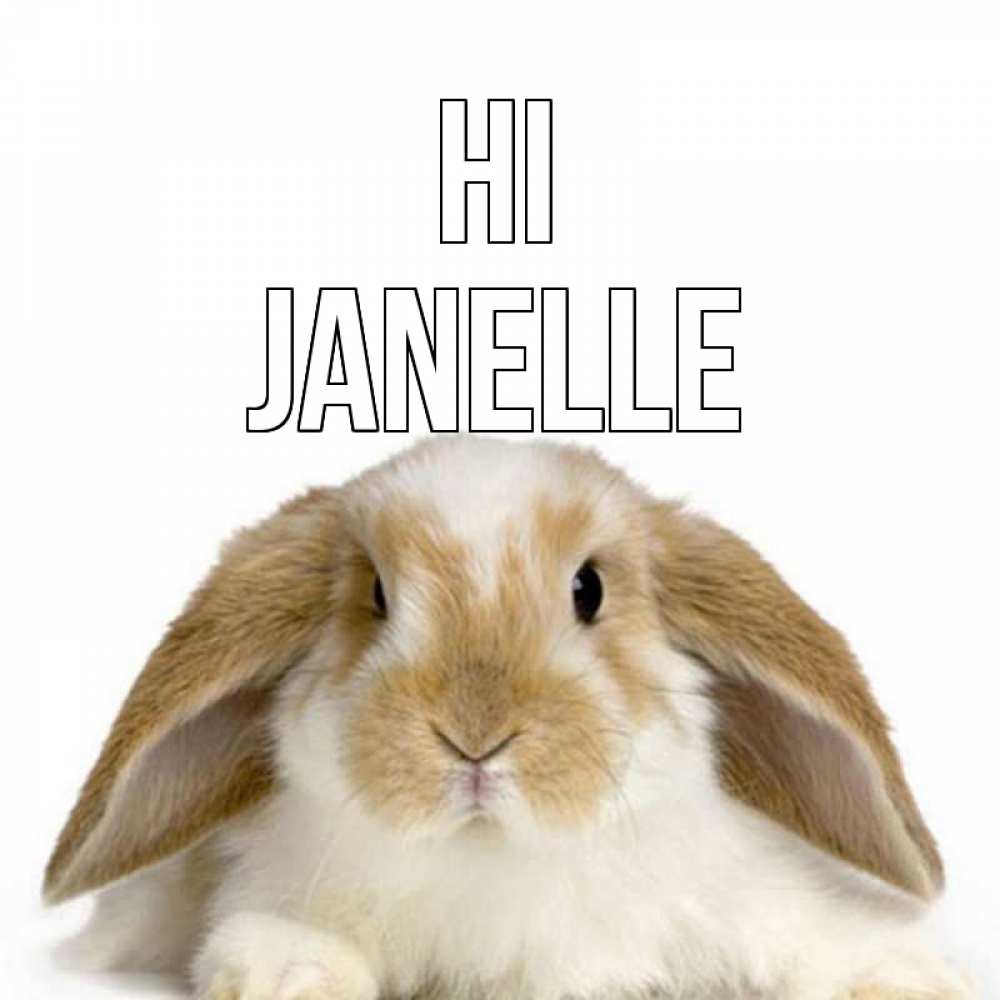 Greetings card с именем, Janelle Hi с животными Greetings with text for free download 