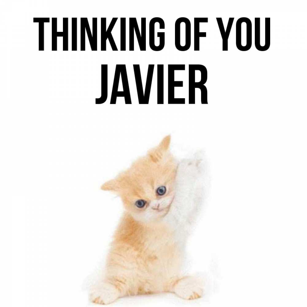 Greetings card с именем, Javier Thinking of you зверушки и милота Greetings with text for free download 