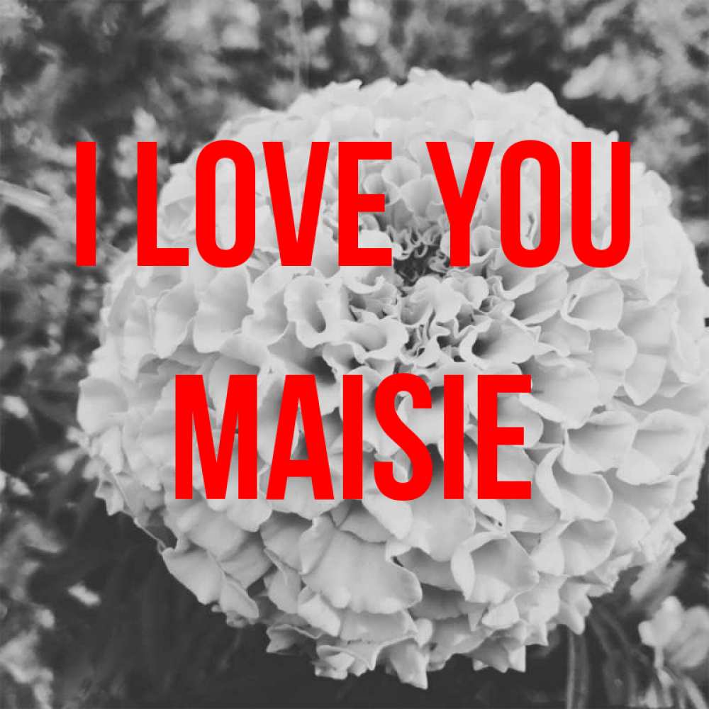 Greetings card с именем, Maisie I love you подпись Greetings with text for free download 