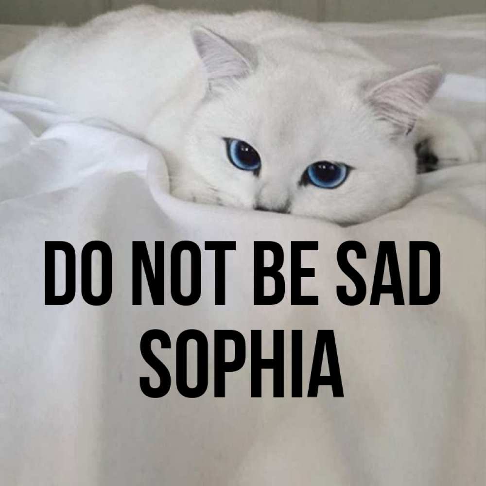Greetings card с именем, Sophia Do not be sad Голубоглазая кошка Greetings with text for free download 