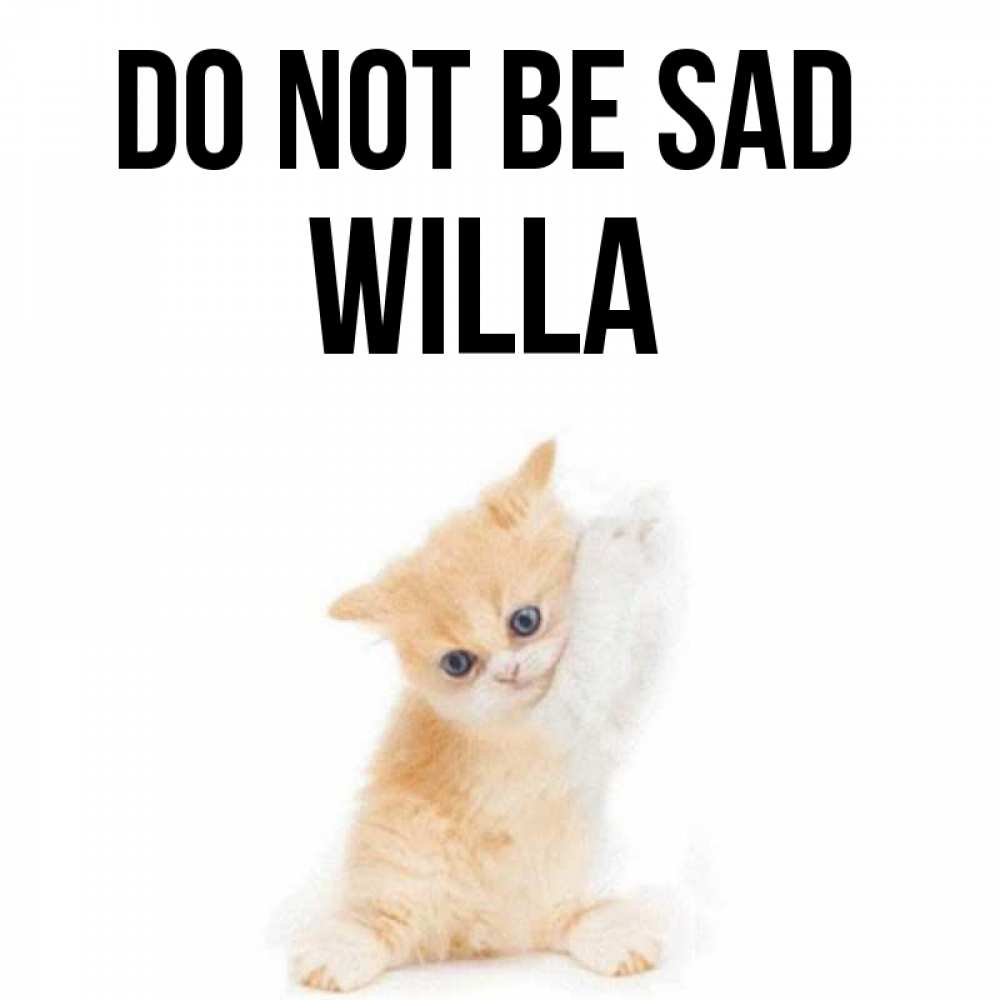 Greetings card с именем, Willa Do not be sad просящий кот Greetings with text for free download 