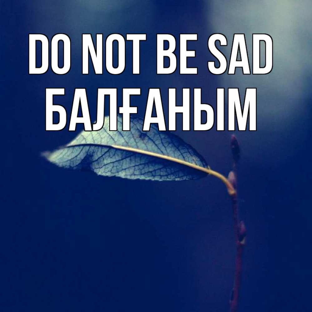 Greetings card с именем, БАЛҒАНЫМ Do not be sad растение Greetings with text for free download 
