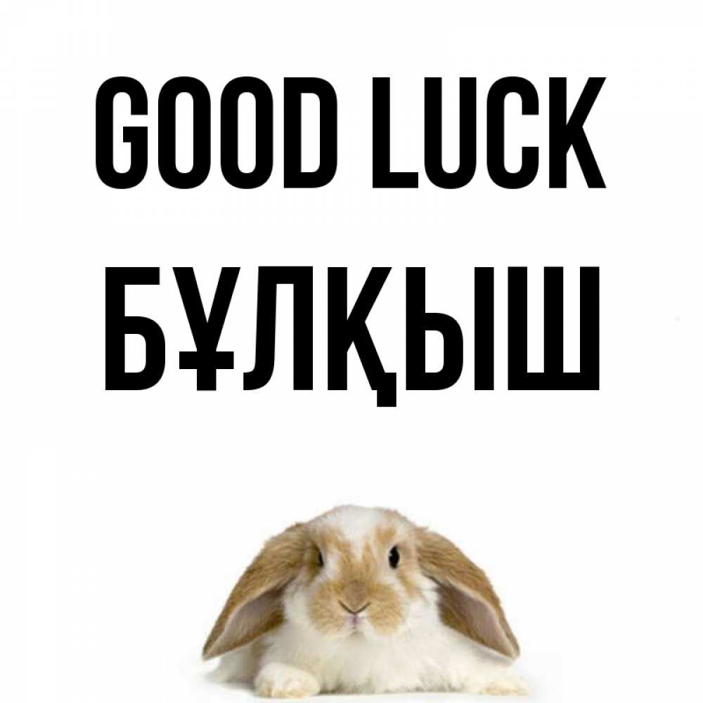 Greetings card с именем, Бұлқыш Good luck открытки с произвольным текстом который можно вставить в открытку и создать ее самостоятельно бесплатно онлайн Greetings with text for free download 