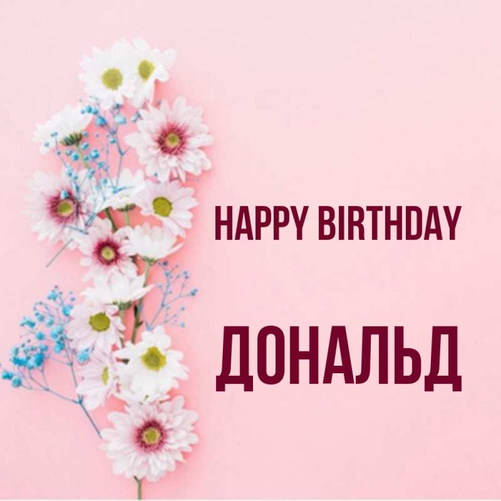 Greetings card с именем, Дональд Happy Birthday Родная моя с днем рождения тебя картинка с цветами белыми и голубыми Greetings with text for free download 