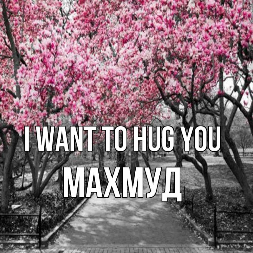 Greetings card с именем, Махмуд I want to hug you обработанное фото Greetings with text for free download 