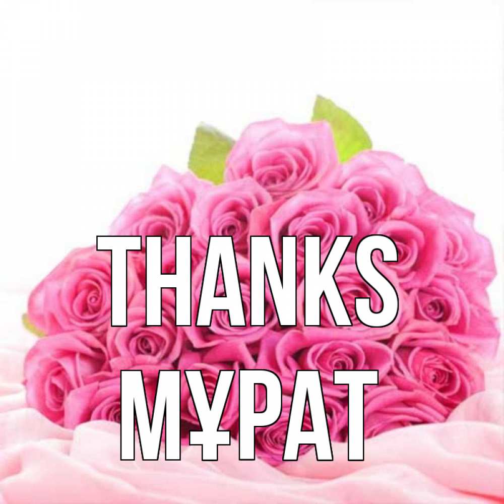 Greetings card с именем, МҰРАТ Thanks розовые розы с подписью Greetings with text for free download 