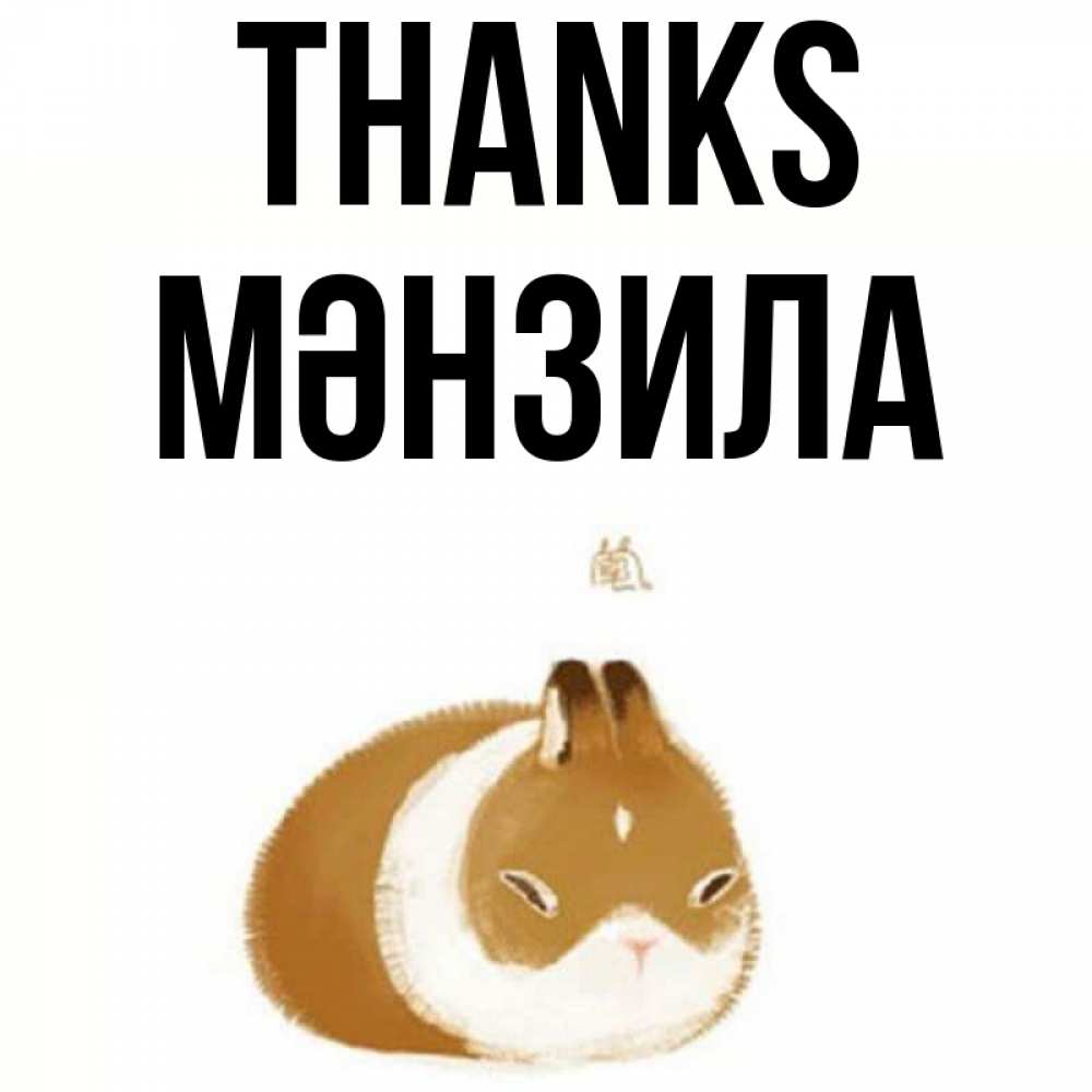 Greetings card с именем, МӘНЗИЛА Thanks коричнево белый домашний питомец Greetings with text for free download 