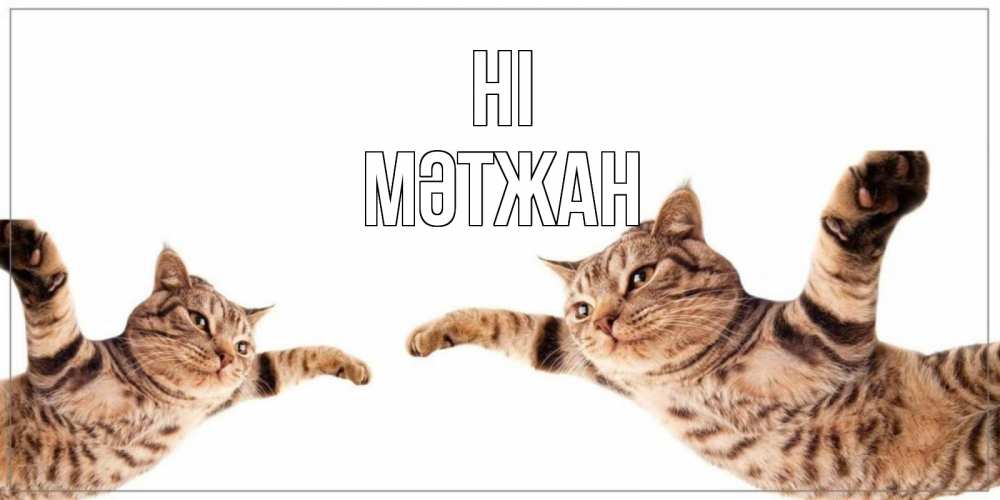 Greetings card с именем, МӘТЖАН Hi кот Greetings with text for free download 