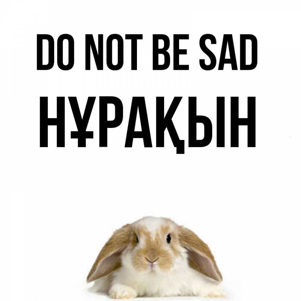 Greetings card с именем, НҰРАҚЫН Do not be sad коричнево белый заяц с большими ушками Greetings with text for free download 