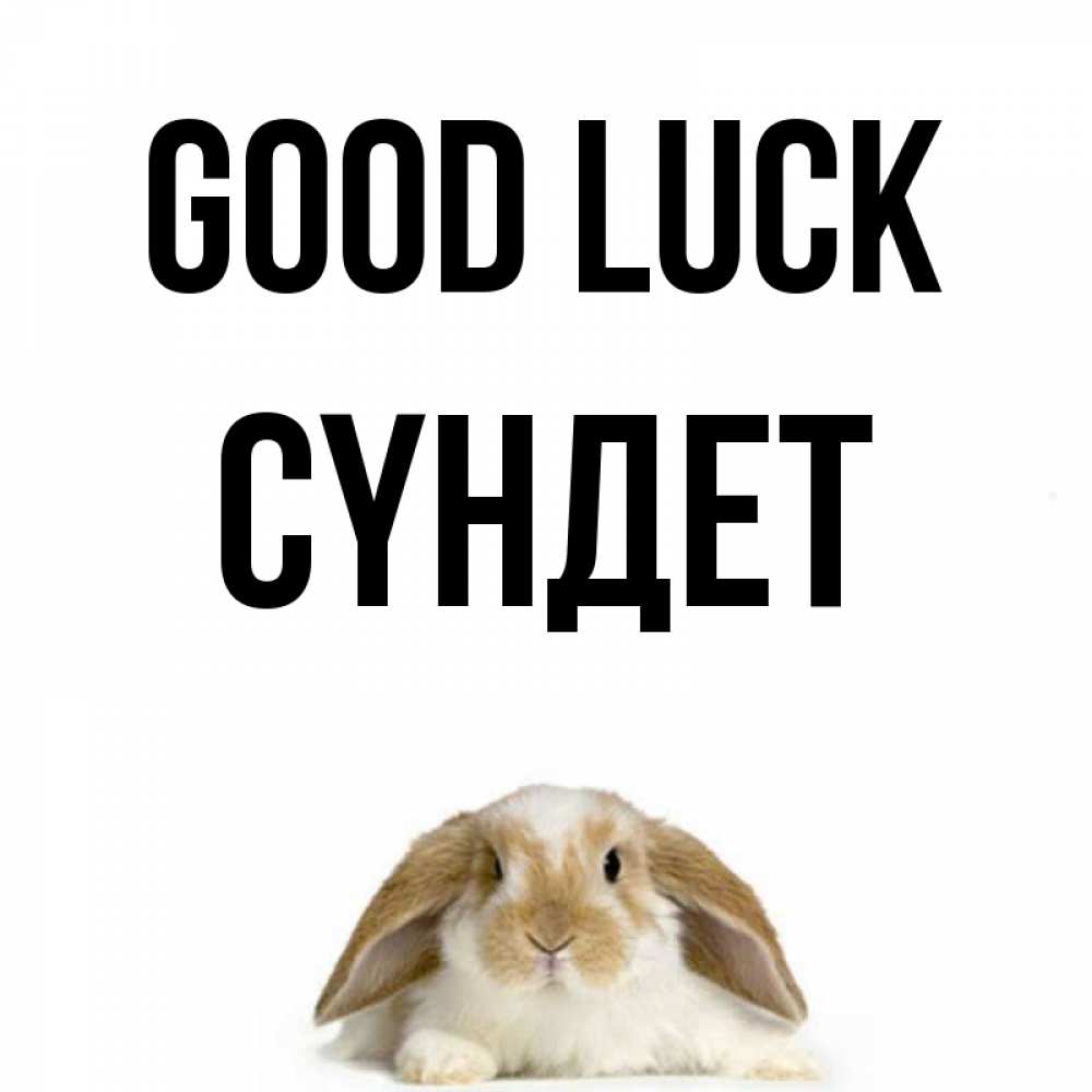 Greetings card с именем, СҮНДЕТ Good luck открытки с произвольным текстом который можно вставить в открытку и создать ее самостоятельно бесплатно онлайн Greetings with text for free download 