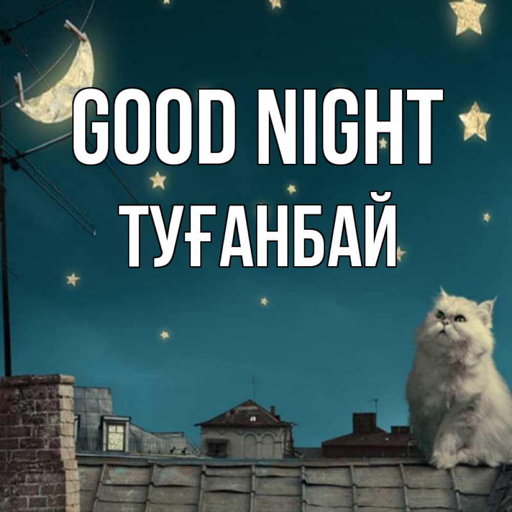 Greetings card с именем, ТУҒАНБАЙ Good night белый кот сидит на крыше Greetings with text for free download 