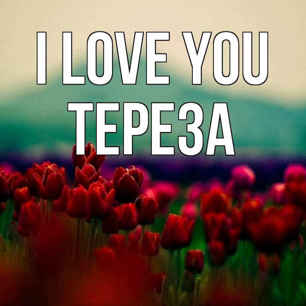 Greetings card с именем, Тереза I love you тюльпаны 4 Greetings with text for free download 