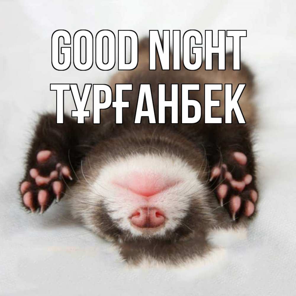 Greetings card с именем, ТҰРҒАНБЕК Good night зверек Greetings with text for free download 