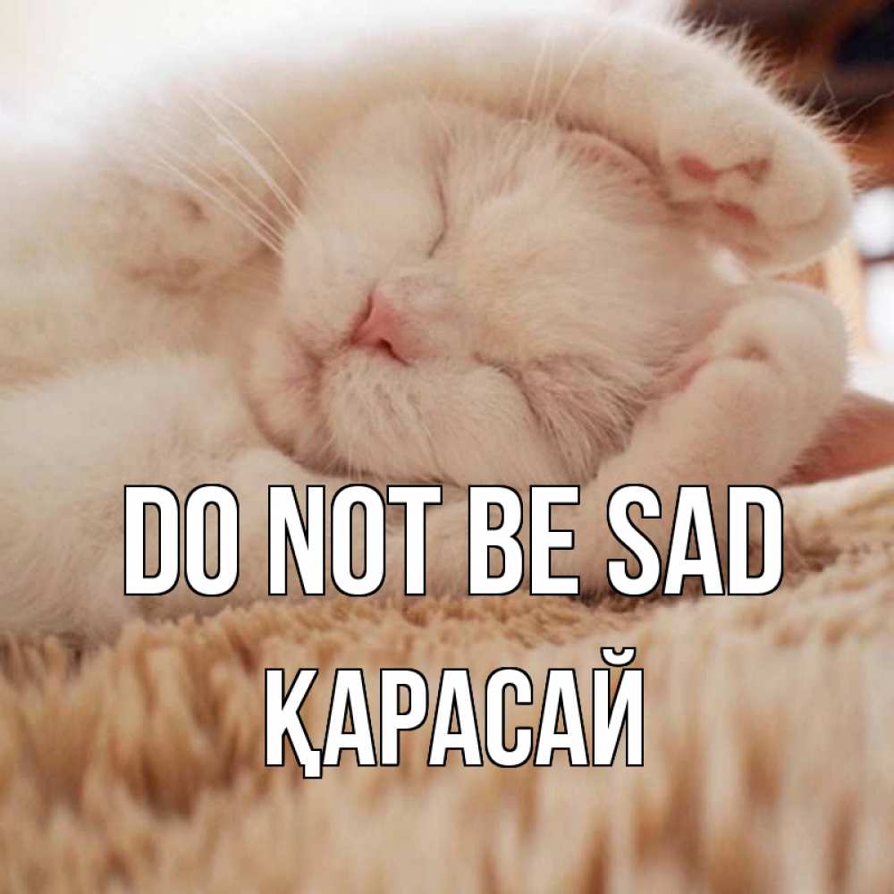 Greetings card с именем, Қарасай Do not be sad белый кот Greetings with text for free download 