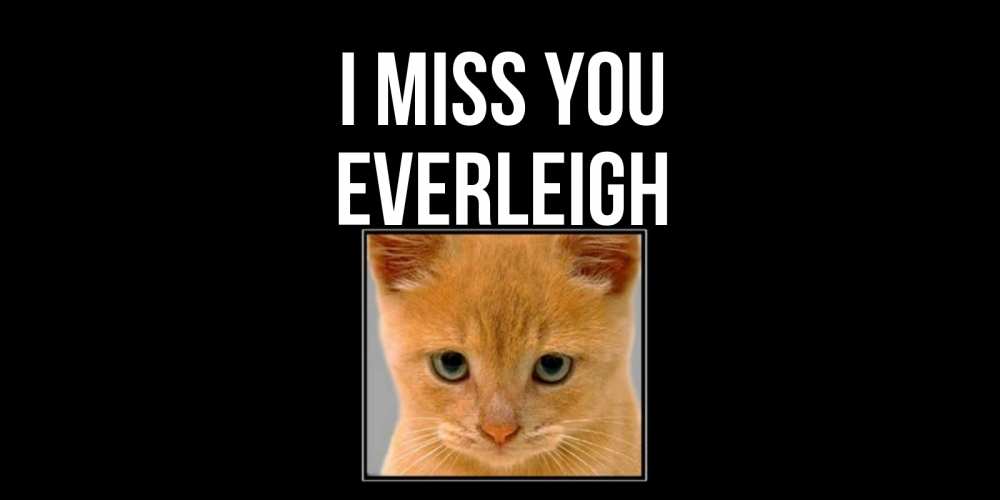 Greetings card с именем, Everleigh I miss you открытки рыжий котенок скучает по тебе Greetings with text for free download 