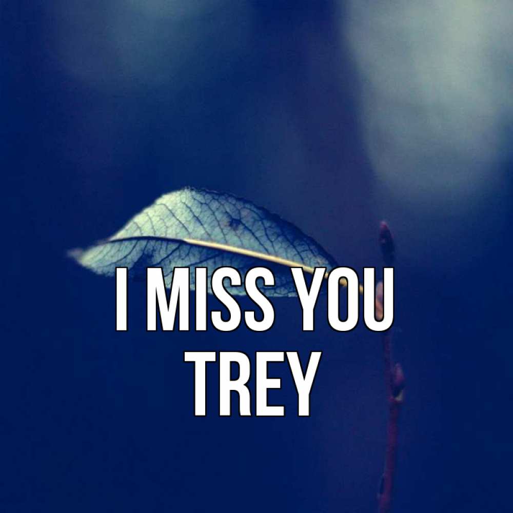 Greetings card с именем, Trey I miss you одна ветка 1 Greetings with text for free download 