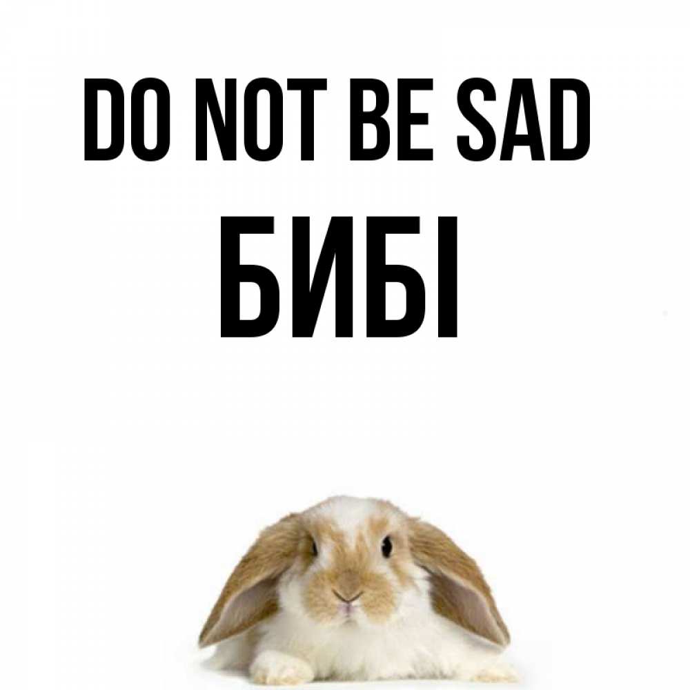Greetings card с именем, БИБІ Do not be sad коричнево белый заяц с большими ушками Greetings with text for free download 