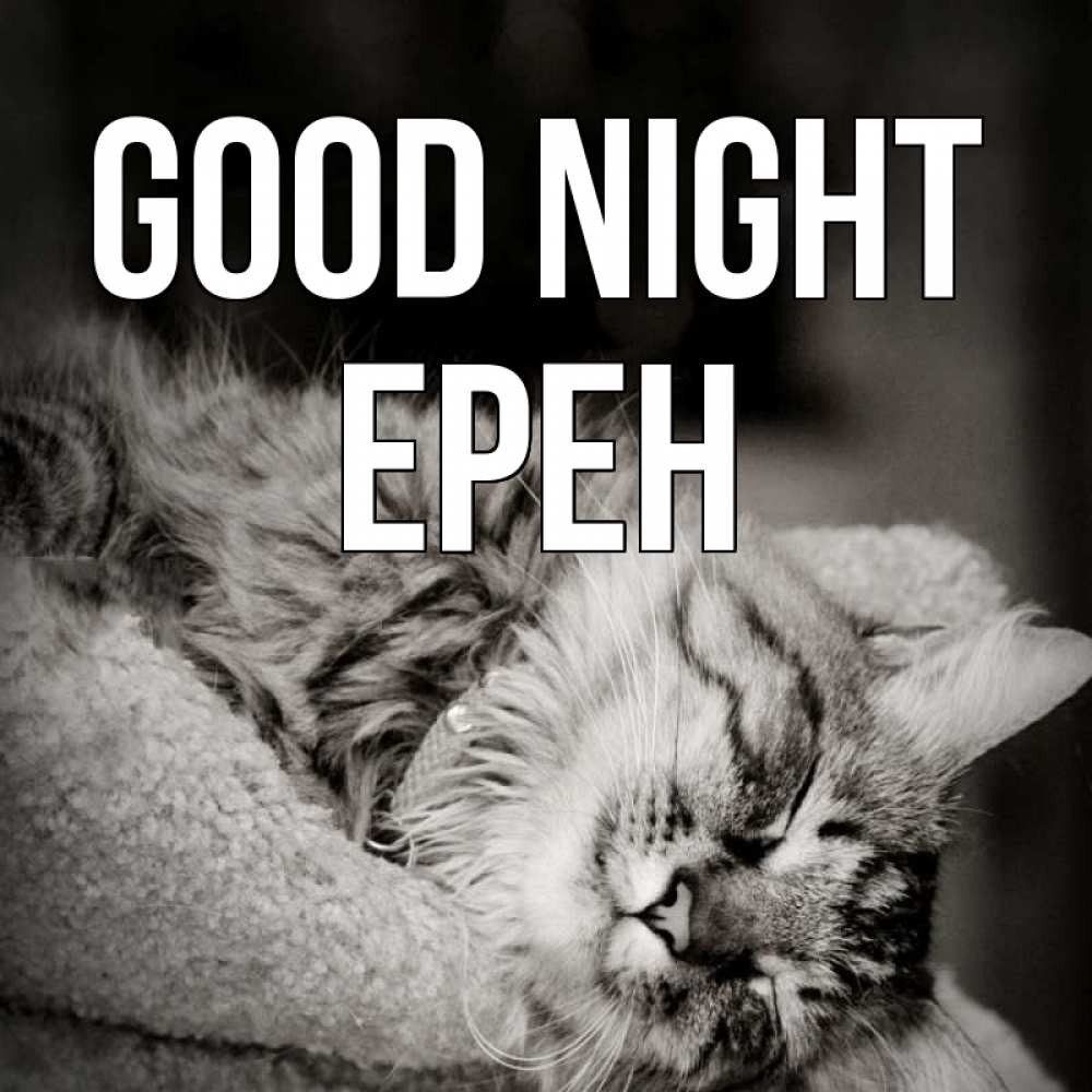 Greetings card с именем, Ерен Good night котярик пушистый Greetings with text for free download 
