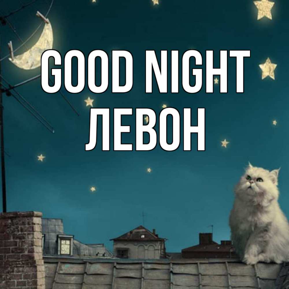 Greetings card с именем, Левон Good night белый кот сидит на крыше Greetings with text for free download 