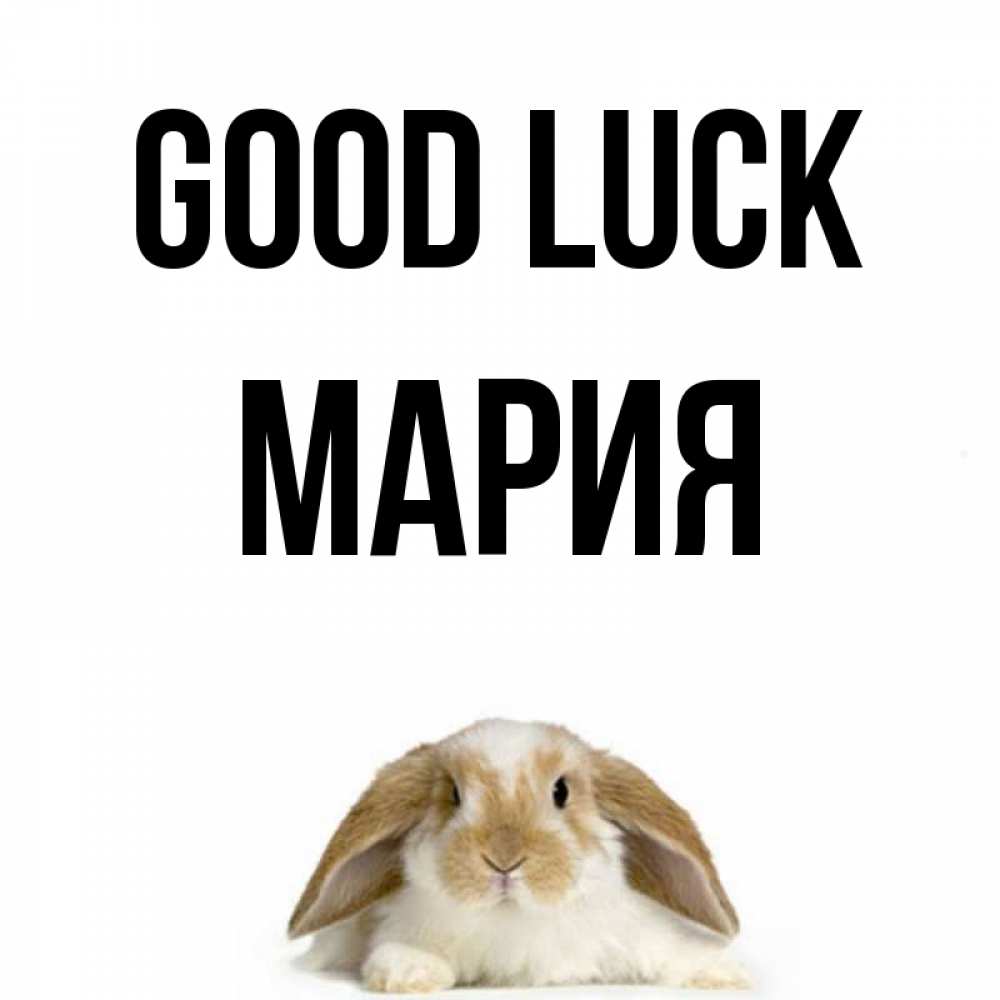 Greetings card с именем, МАРИЯ Good luck открытки с произвольным текстом который можно вставить в открытку и создать ее самостоятельно бесплатно онлайн Greetings with text for free download 