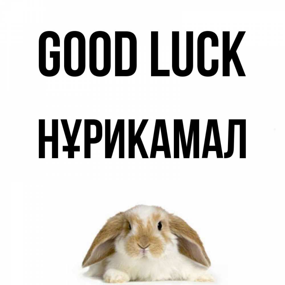 Greetings card с именем, НҰРИКАМАЛ Good luck открытки с произвольным текстом который можно вставить в открытку и создать ее самостоятельно бесплатно онлайн Greetings with text for free download 
