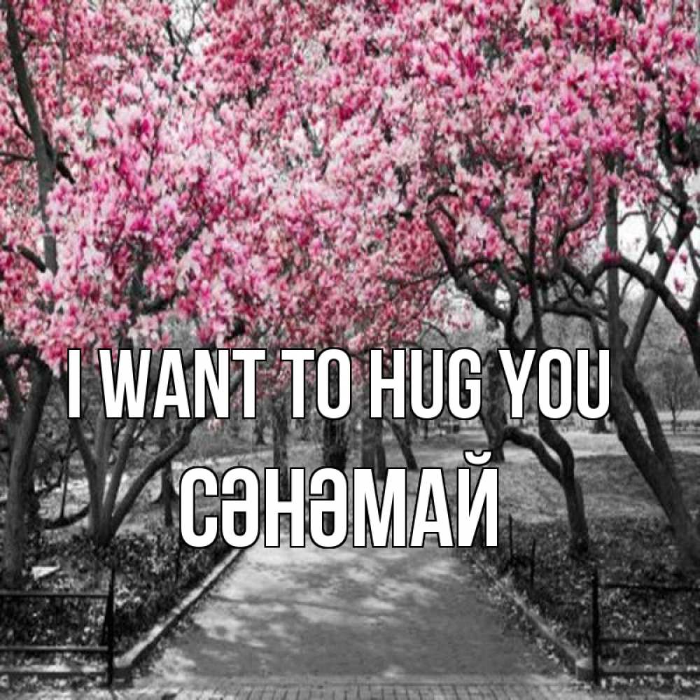 Greetings card с именем, СӘНӘМАЙ I want to hug you обработанное фото Greetings with text for free download 