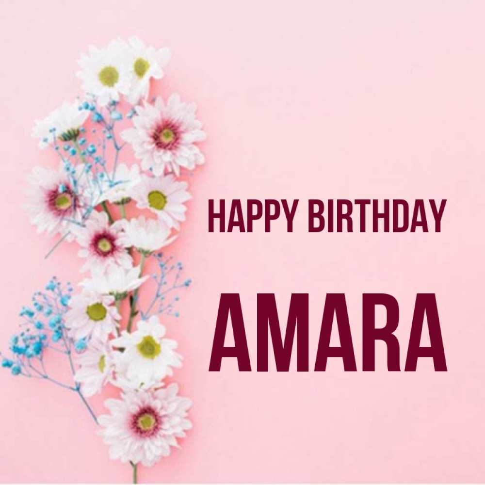Greetings card с именем, Amara Happy Birthday Родная моя с днем рождения тебя картинка с цветами белыми и голубыми Greetings with text for free download 