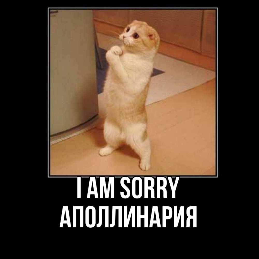 Greetings card с именем, Аполлинария I am sorry открытка с милым несчастным котиком просящим прощения Greetings with text for free download 
