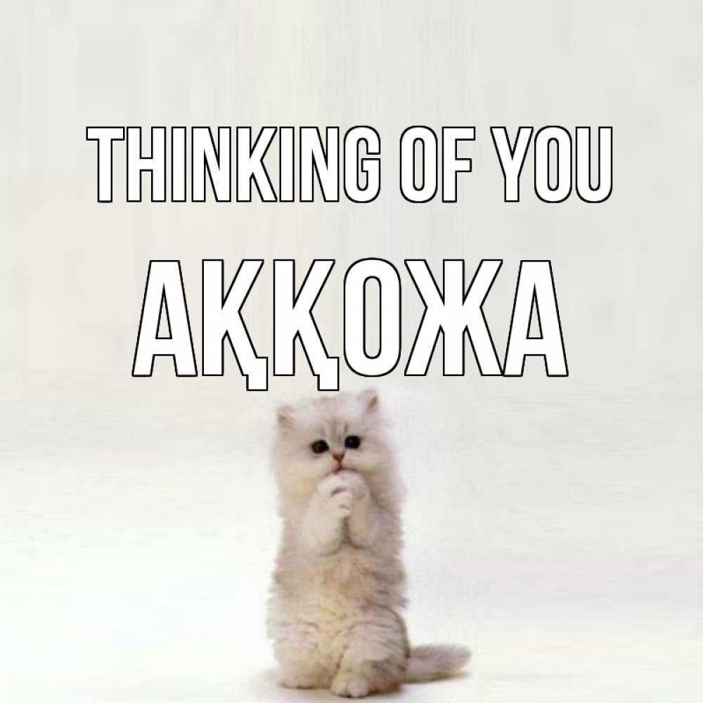 Greetings card с именем, Аққожа Thinking of you кот стоит на задних лапах Greetings with text for free download 
