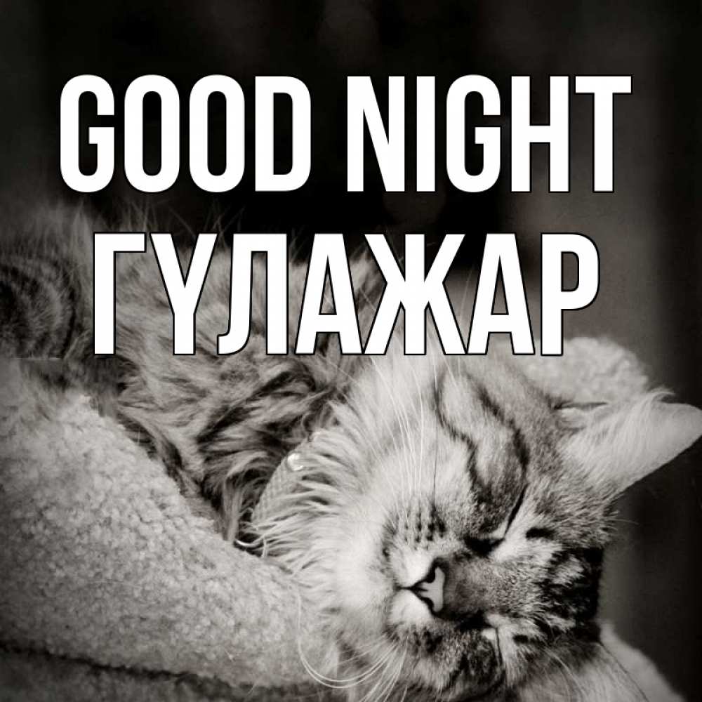 Greetings card с именем, ГҮЛАЖАР Good night котярик пушистый Greetings with text for free download 