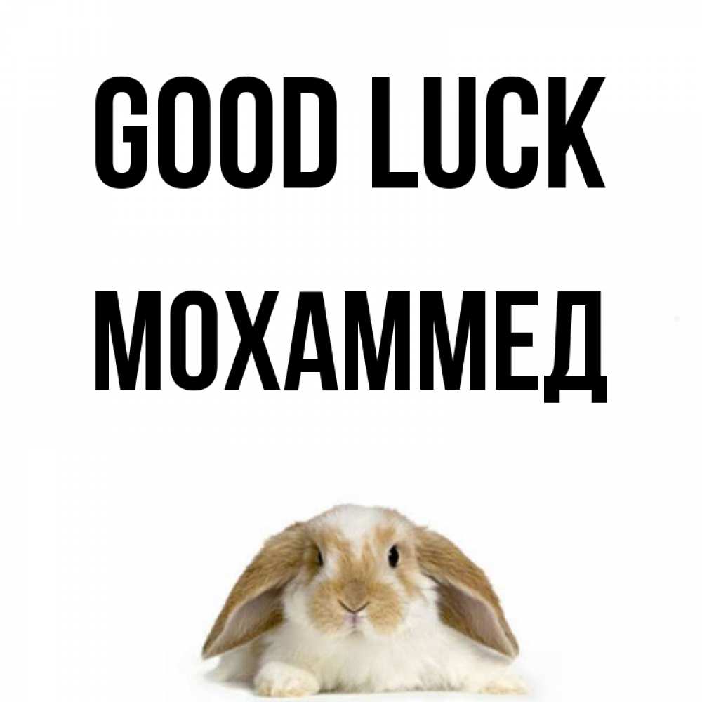 Greetings card с именем, Мохаммед Good luck открытки с произвольным текстом который можно вставить в открытку и создать ее самостоятельно бесплатно онлайн Greetings with text for free download 