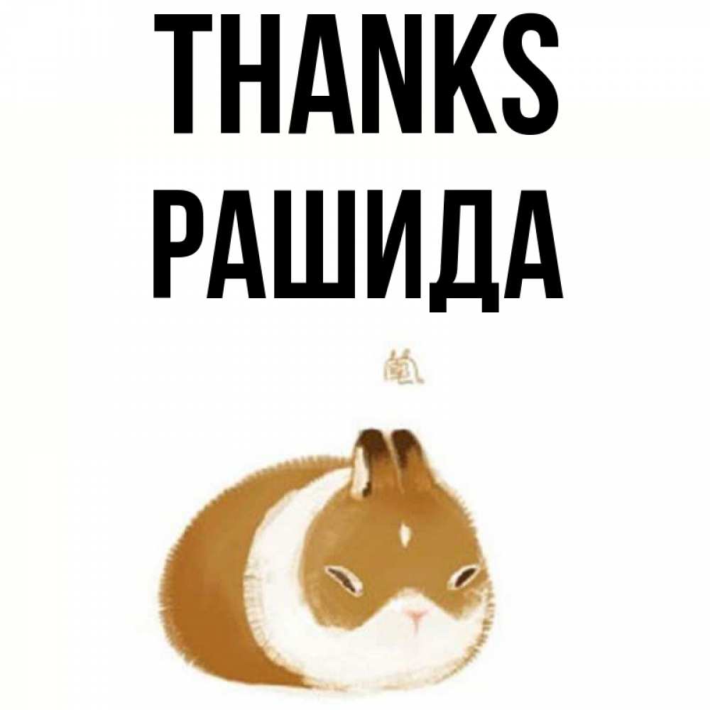 Greetings card с именем, РАШИДА Thanks коричнево белый домашний питомец Greetings with text for free download 