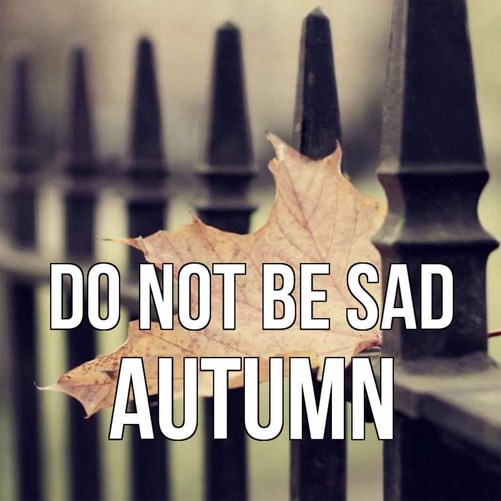 Greetings card с именем, Autumn Do not be sad лист клена Greetings with text for free download 