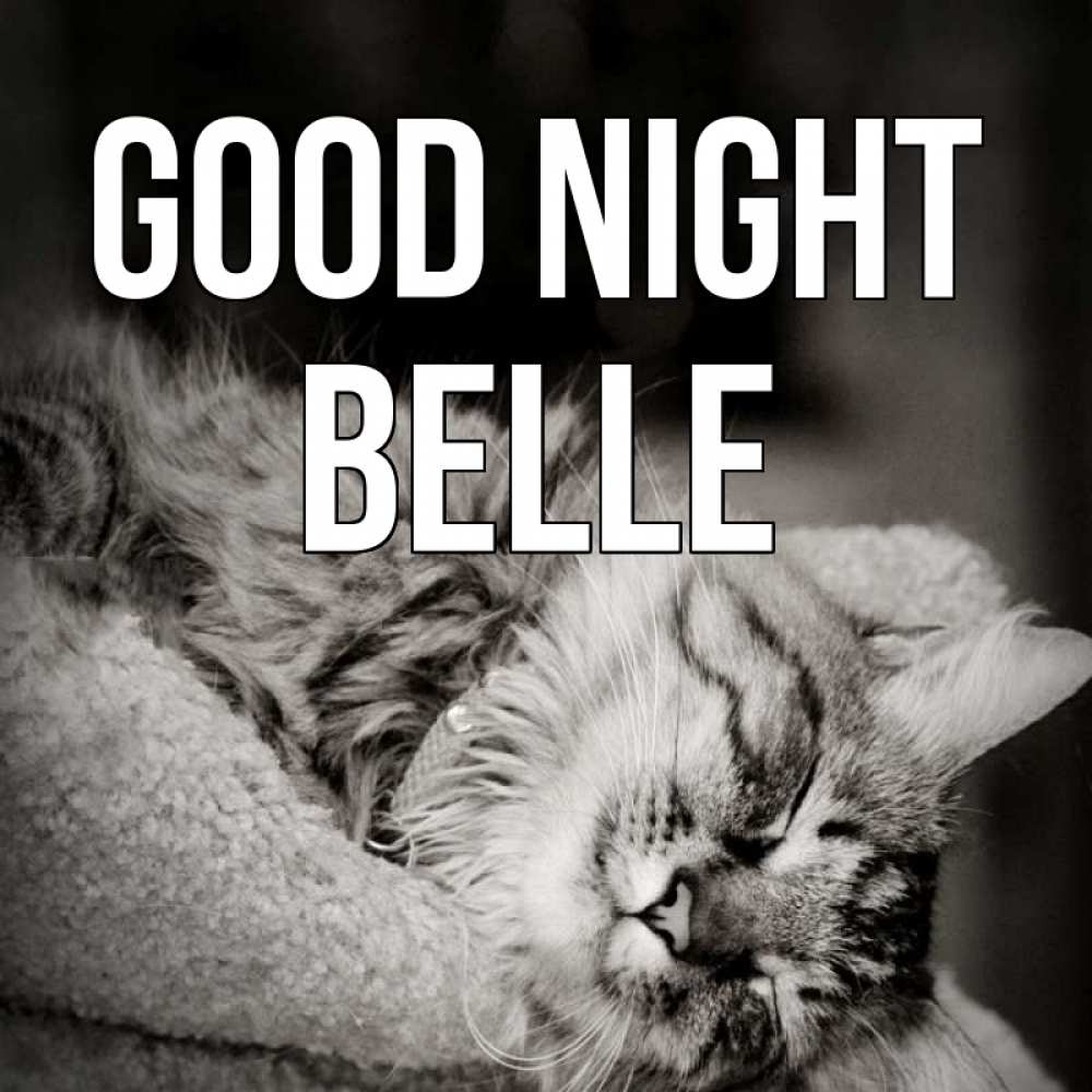 Greetings card с именем, Belle Good night котярик пушистый Greetings with text for free download 