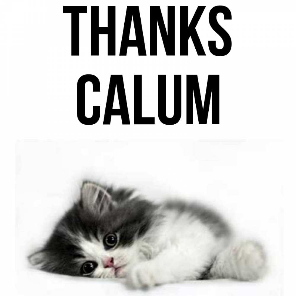 Greetings card с именем, Calum Thanks черный и белый кот Greetings with text for free download 