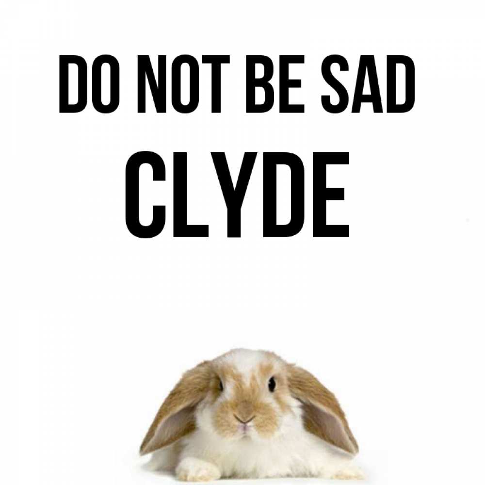 Greetings card с именем, Clyde Do not be sad коричнево белый заяц с большими ушками Greetings with text for free download 