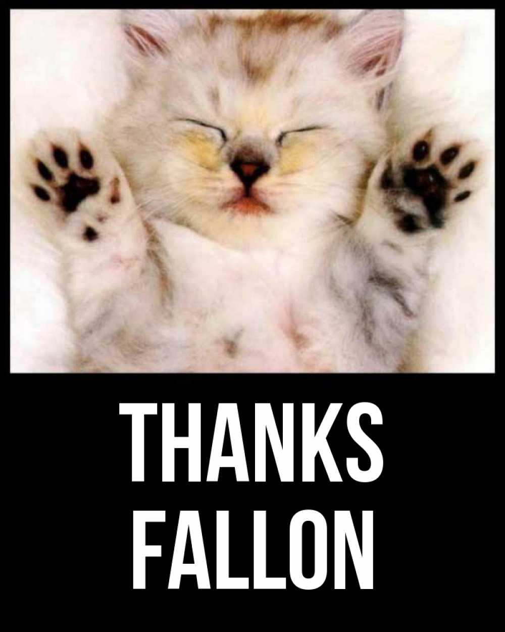 Greetings card с именем, Fallon Thanks маленький котенок Greetings with text for free download 