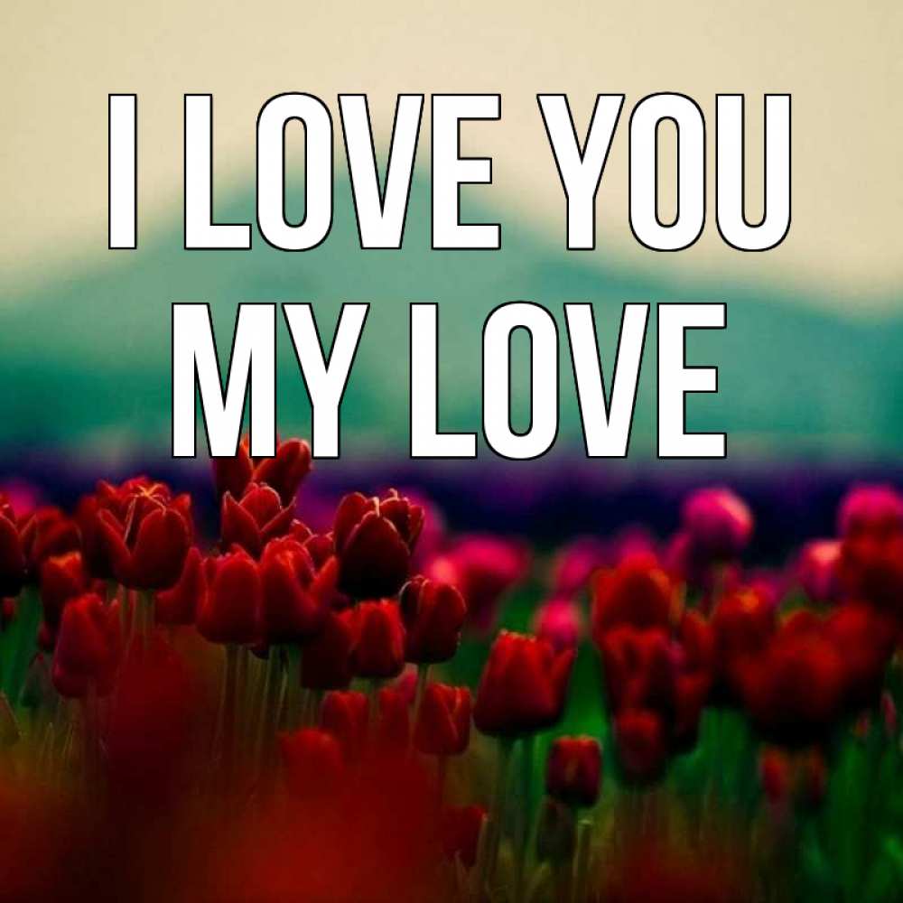 Greetings card с именем, my-love I love you тюльпаны 4 Greetings with text for free download 