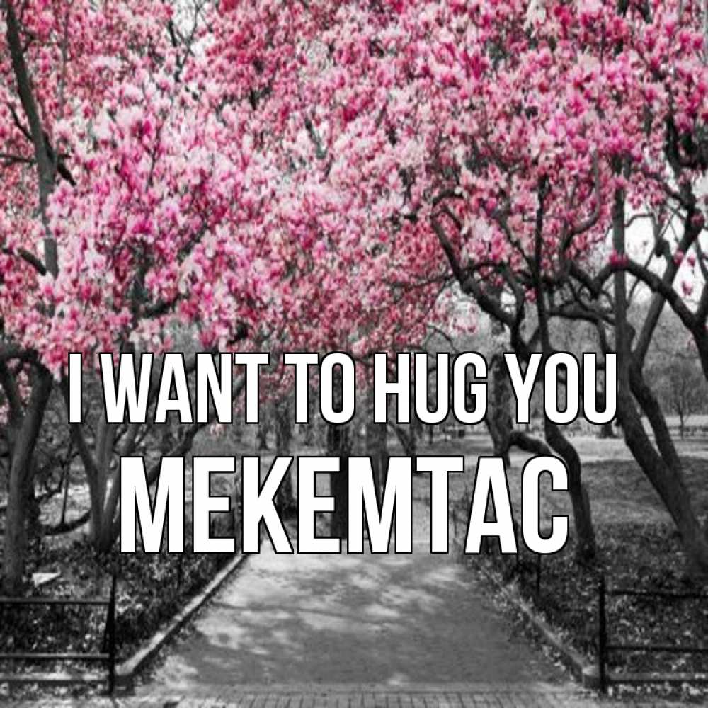 Greetings card с именем, МЕКЕМТАС I want to hug you обработанное фото Greetings with text for free download 