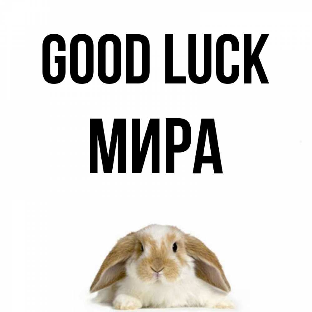Greetings card с именем, МИРА Good luck открытки с произвольным текстом который можно вставить в открытку и создать ее самостоятельно бесплатно онлайн Greetings with text for free download 