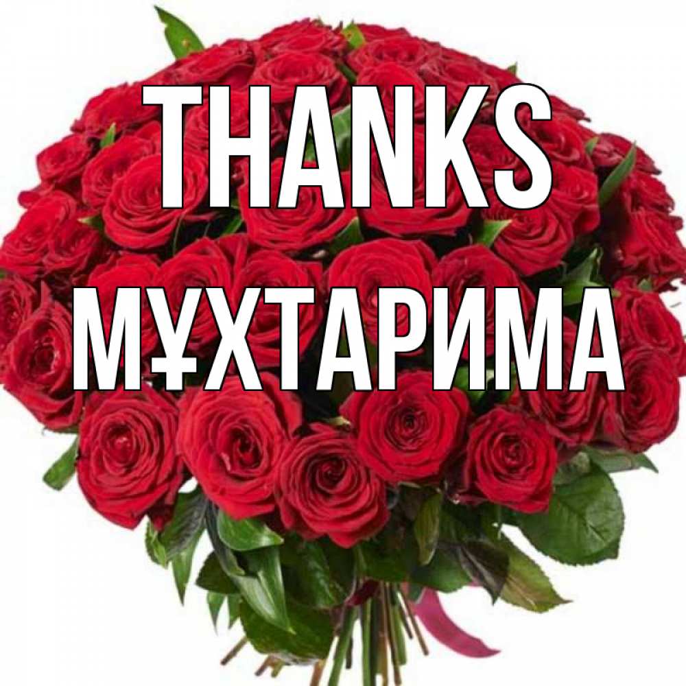 Greetings card с именем, МҰХТАРИМА Thanks букет красных роз Greetings with text for free download 