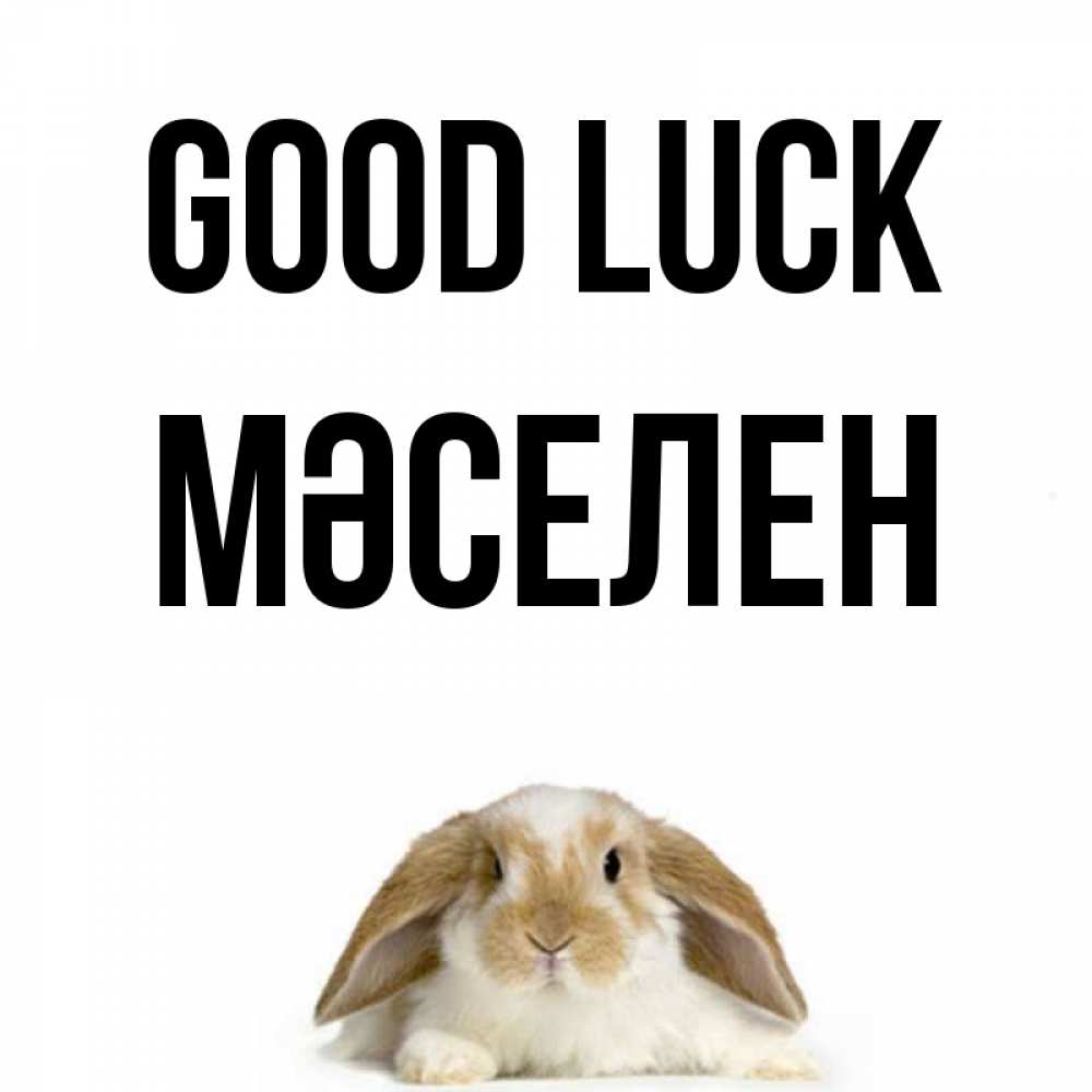Greetings card с именем, Мәселен Good luck открытки с произвольным текстом который можно вставить в открытку и создать ее самостоятельно бесплатно онлайн Greetings with text for free download 