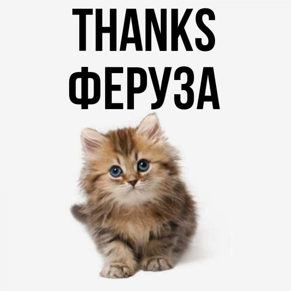 Greetings card с именем, Феруза Thanks пушистый котик Greetings with text for free download 