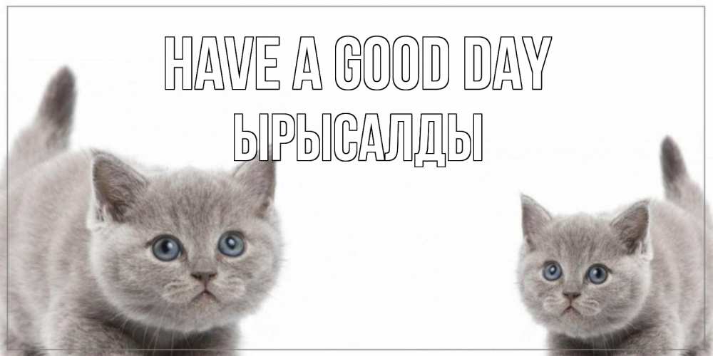 Greetings card с именем, ЫРЫСАЛДЫ Have a good day открытка с котами Greetings with text for free download 