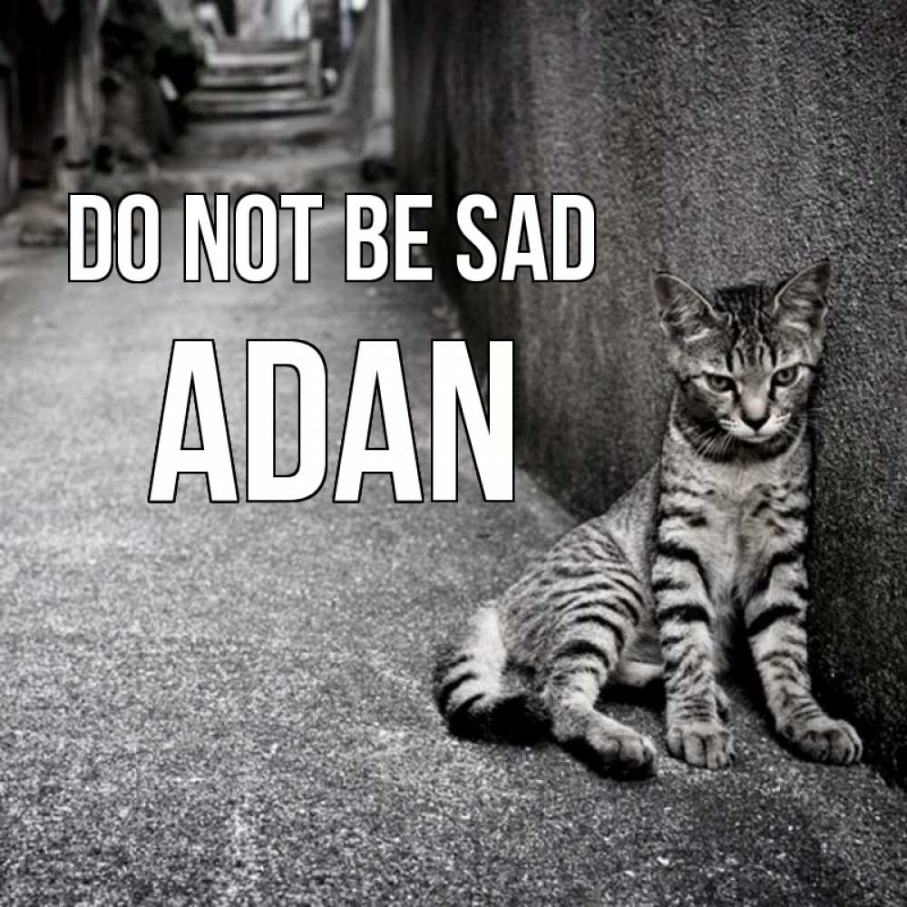 Greetings card с именем, Adan Do not be sad скучающий котик Greetings with text for free download 